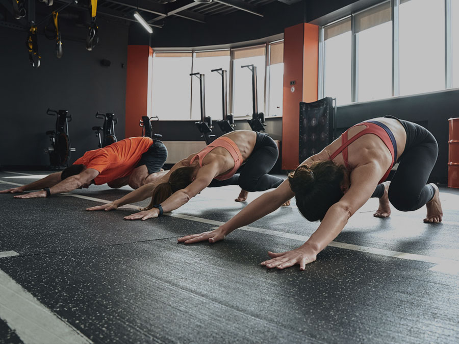 petit-ANIMAL-HAUT-CADRE-CARROUSSEL